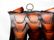 Bild von Brown Patina Leather Dog Armor 1/1