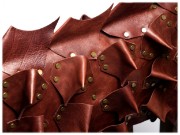 Bild von Leather Dog Armor Brown Calf