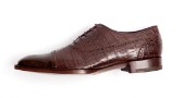 Picture of Crocodile Leather